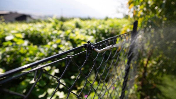 Stocker Anti-Dripping Nozzle 45° for Geyser Insect Mister Systems